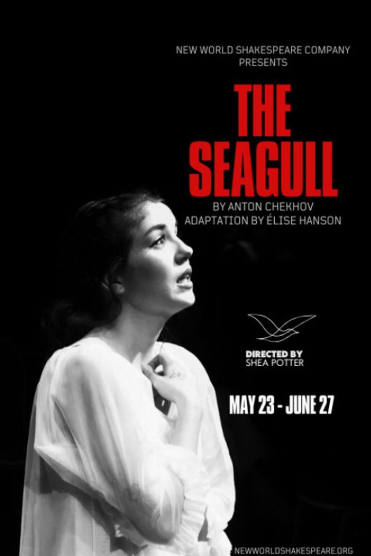 Outstanding acting is reason to see New World’s The Seagull (Review)